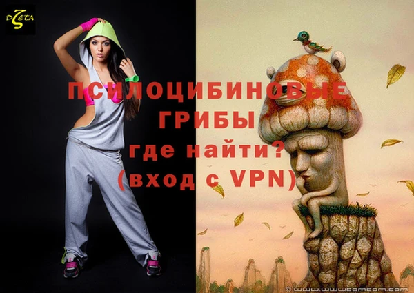 гидропоника Коряжма