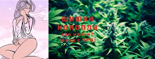 гидропоника Коряжма