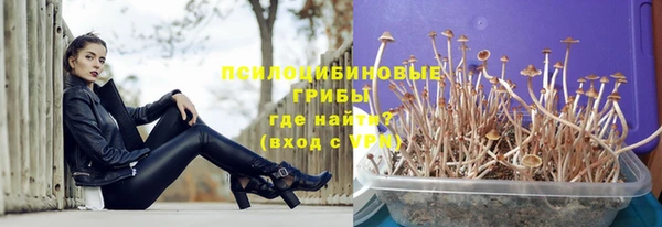 скорость Корсаков