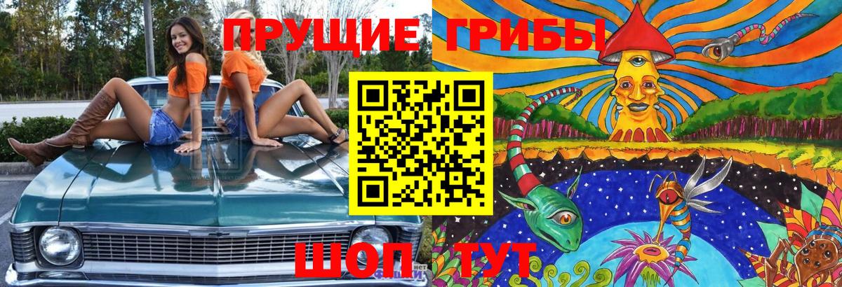 Псилоцибиновые грибы ЛСД  Пятигорск 