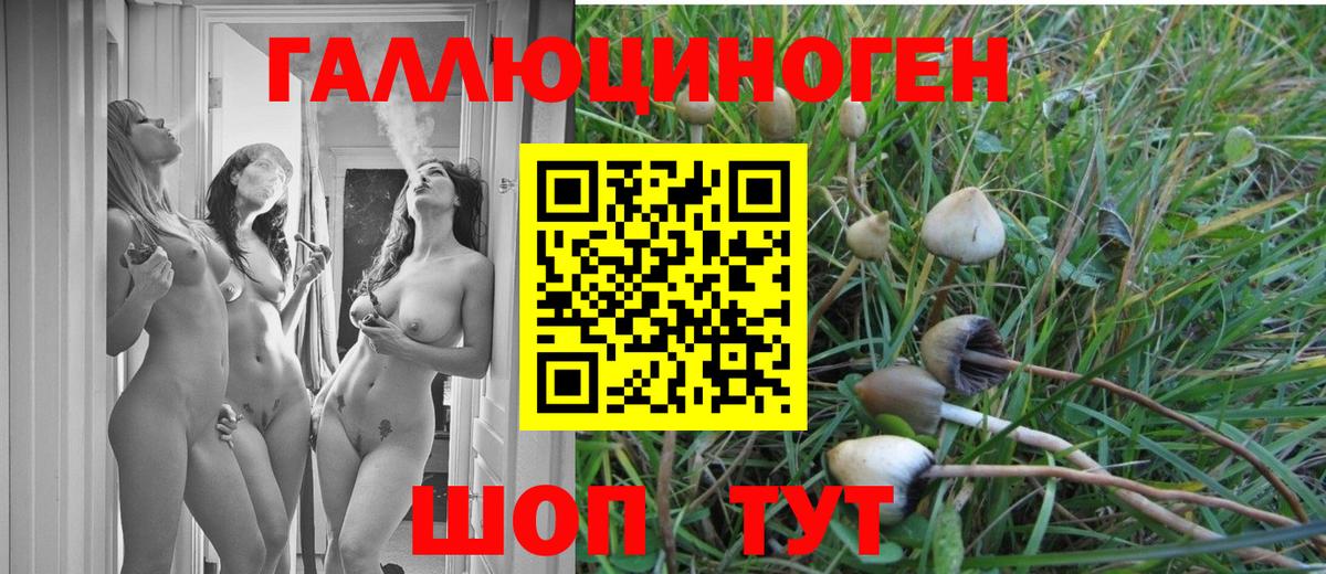 Псилоцибиновые грибы Magic Shrooms Пятигорск