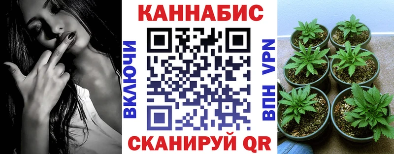 купить наркотики сайты  Пятигорск  МАРИХУАНА White Widow 