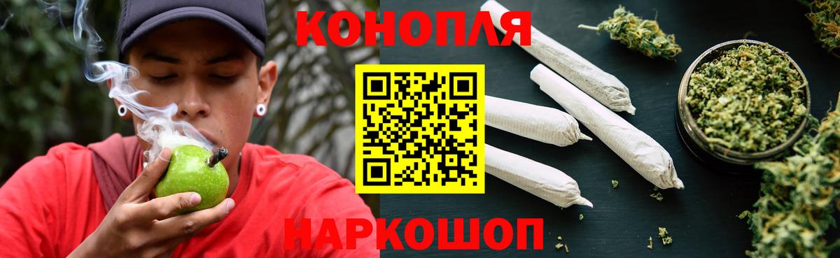 Бошки Шишки White Widow  МАРИХУАНА индика  Конопля VHQ  Пятигорск  Вход с VPN  Канабис конопля 
